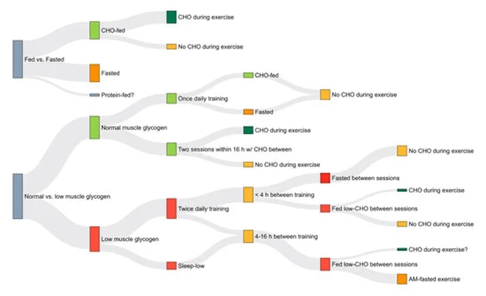 Αξίζει η προπόνηση σε καθεστώς νηστείας; Οι διαφορές στην απόδοση και οι προσαρμογές στη μέγιστη αερόβια ικανότητα (Μέρος Β’) runbeat.gr